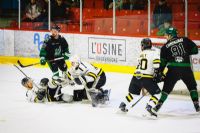 Une fin de semaine chargée dans la Ligue régionale de hockey